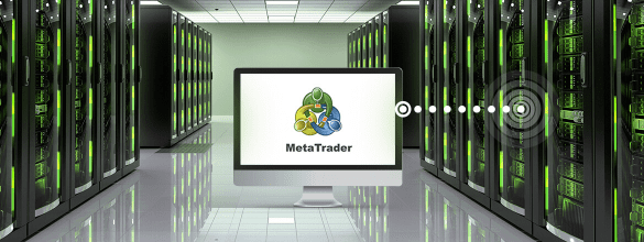 Всем клиентам предоставляется VPS-сервер