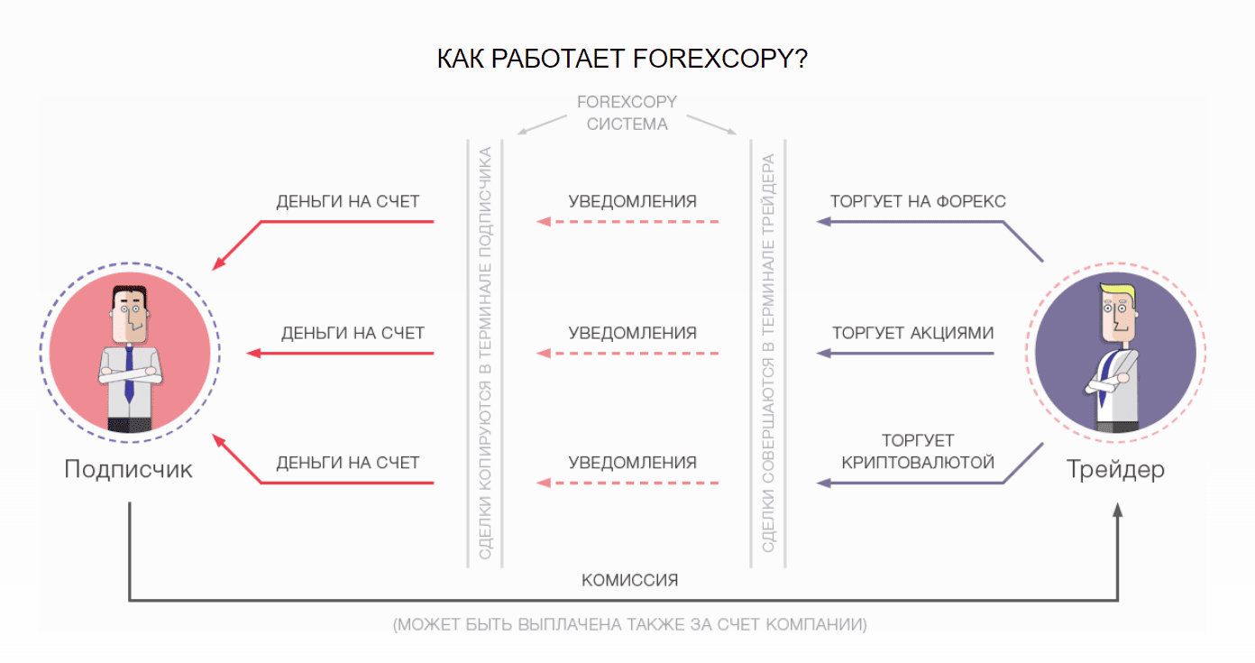 система FOREXCOPY