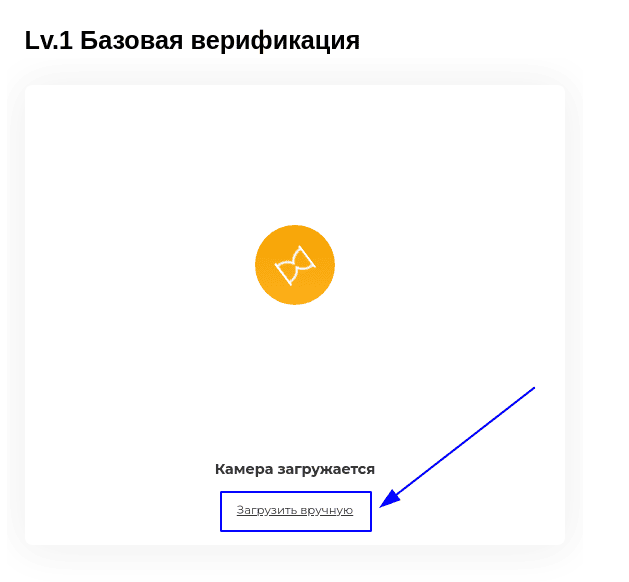 Кнопка "Загрузить вручную"