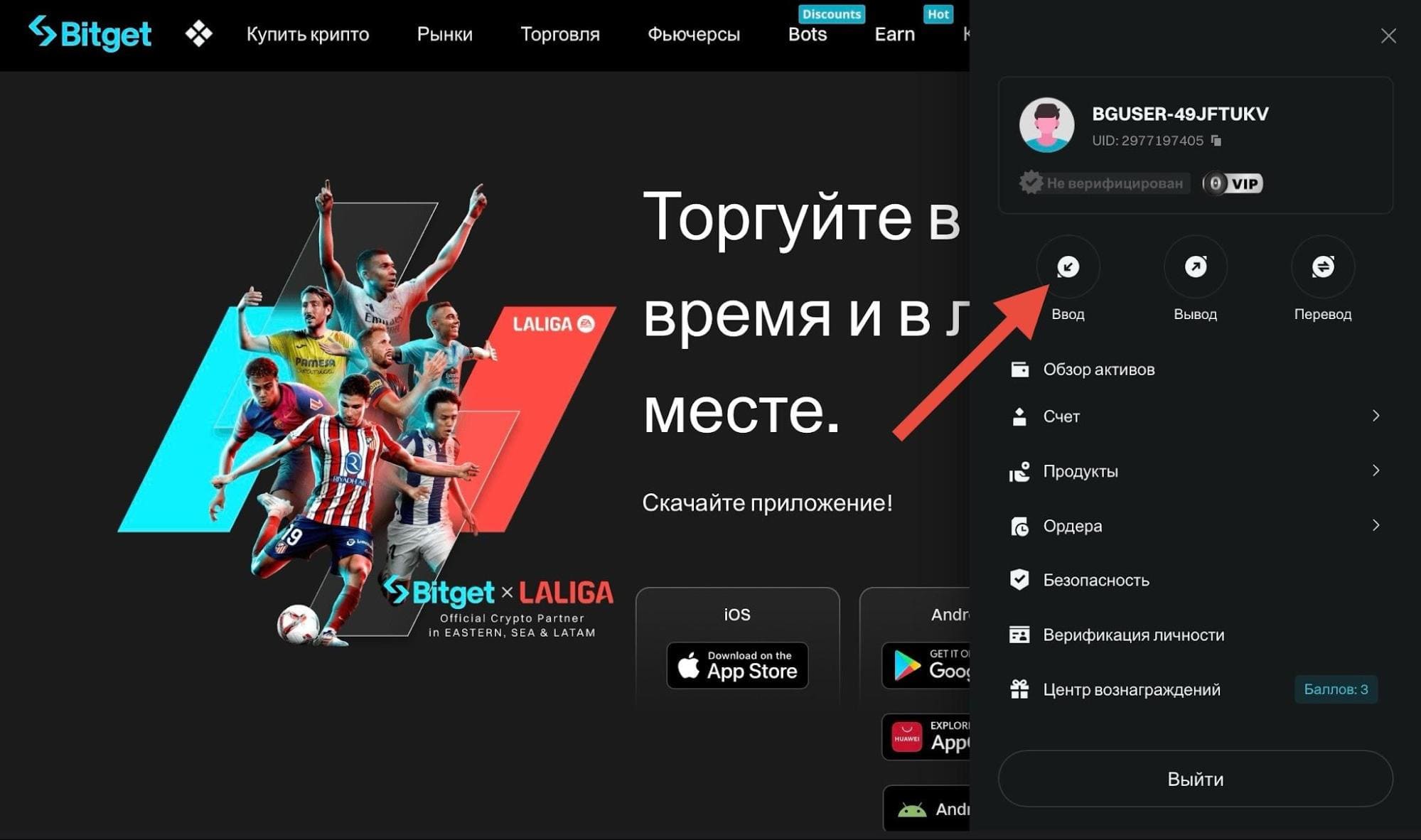 Кнопка Ввод в меню учётной записи