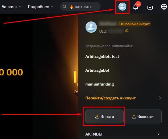 Переходим на страницу ввода средств