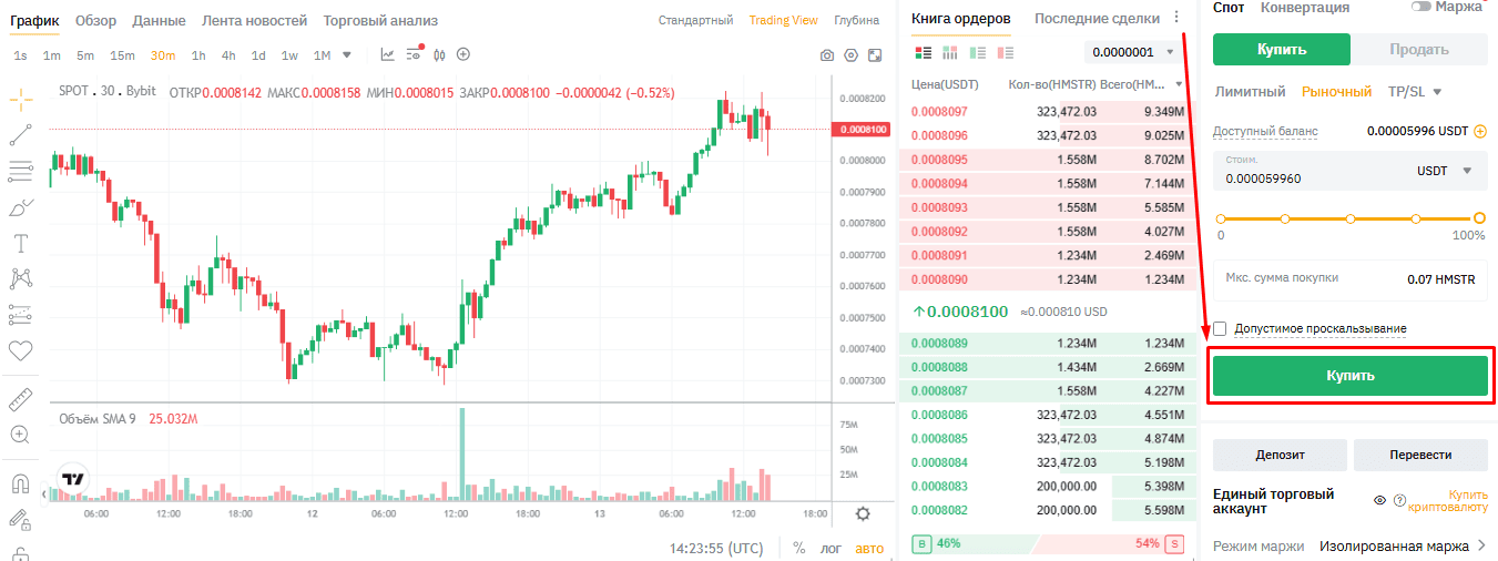 Покупка монеты HMSTR на Байбит
