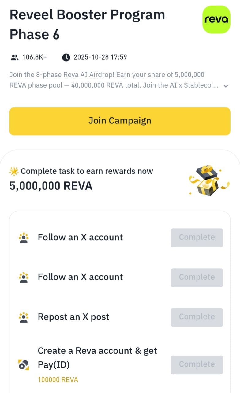 Пример активной кампании Booster для проекта REVA